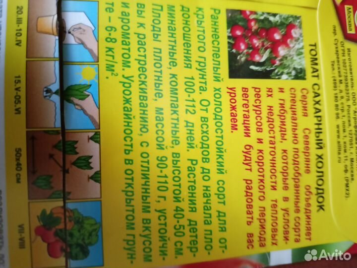 Рассада томатов,перцев,баклажанов