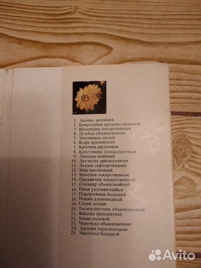 Набор открыток лекарственных растений