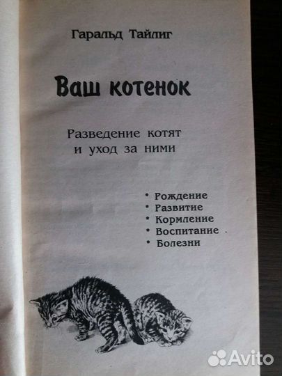 Ваш котенок