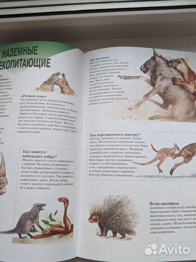 Большая энциклопедия