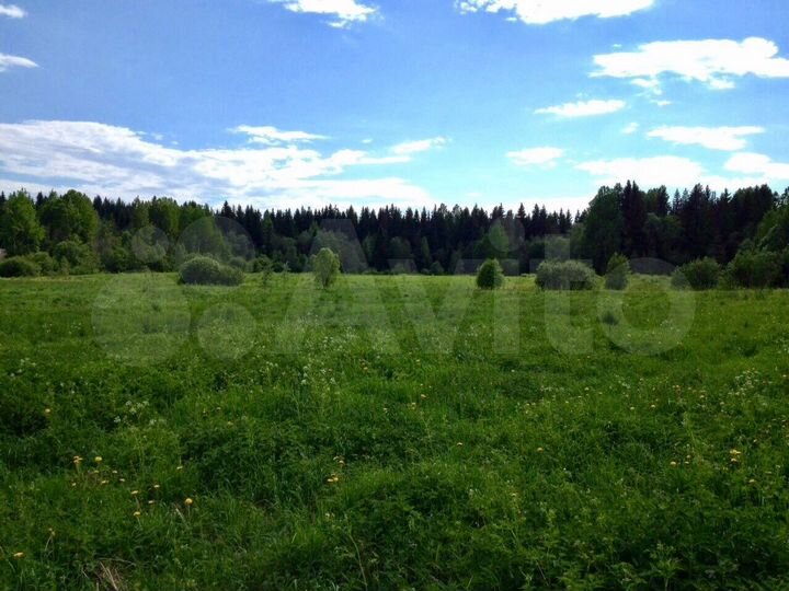 Участок 10 сот. (ИЖС)