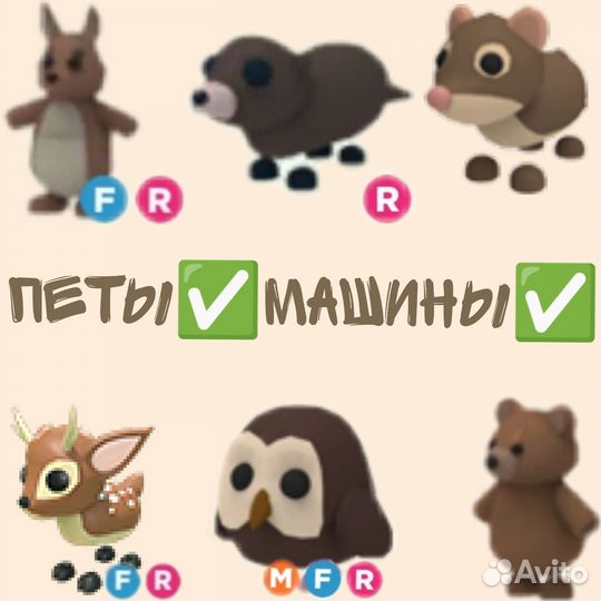 Нфр леги, олд яйца, машины