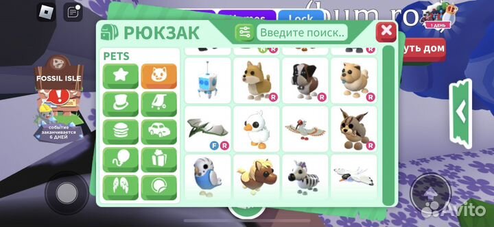 Петы адопт ми(описание)