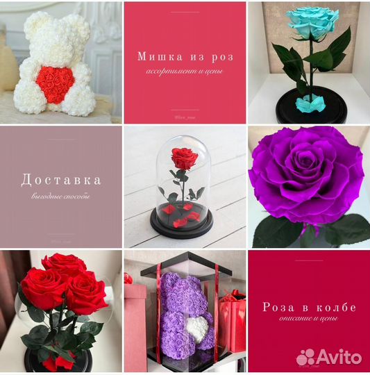 Роза в колбе. Высокое качество