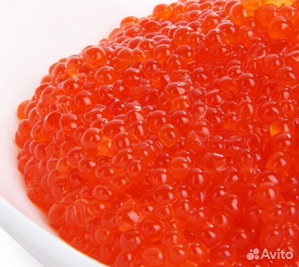 Форель охлажденная