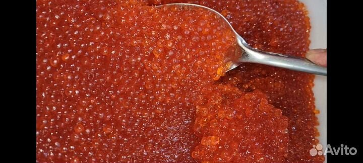 Горбуша икра красная 2023