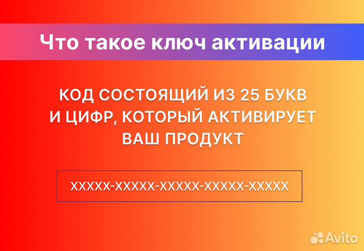 Microsoft office 2019 home and business box