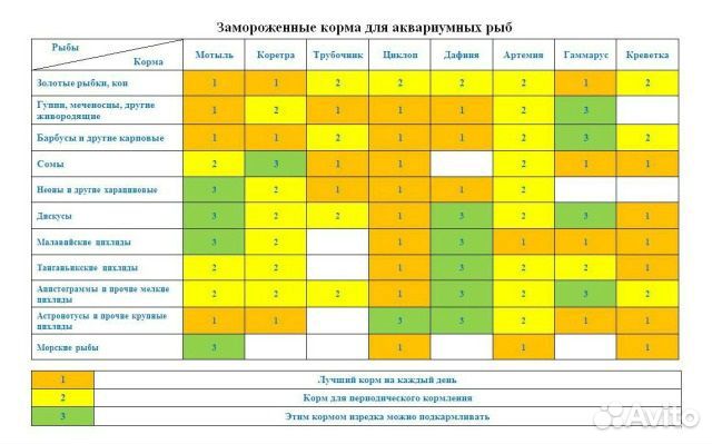 Артемия, мотыль, циклоп и др
