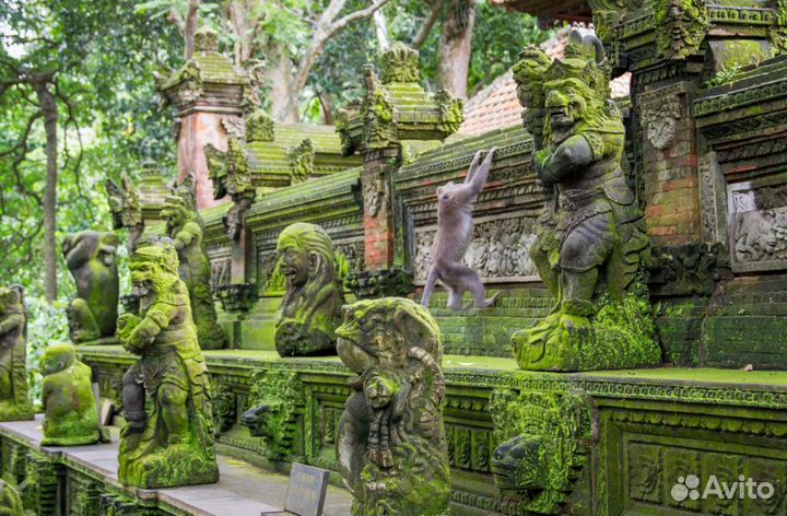 Тур поездка на Бали 9 нч. отдых в отеле 3*