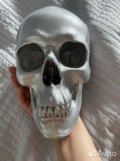 Череп интерьерный