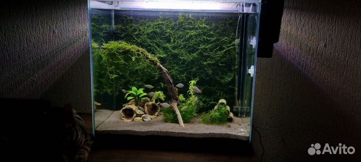 Аквариум