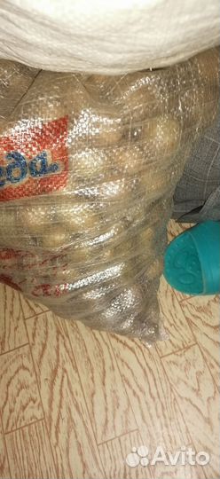 Картофель мелкий