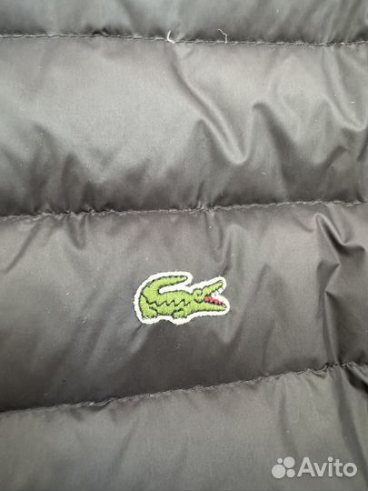 Куртка демисезонная мужская Lacoste