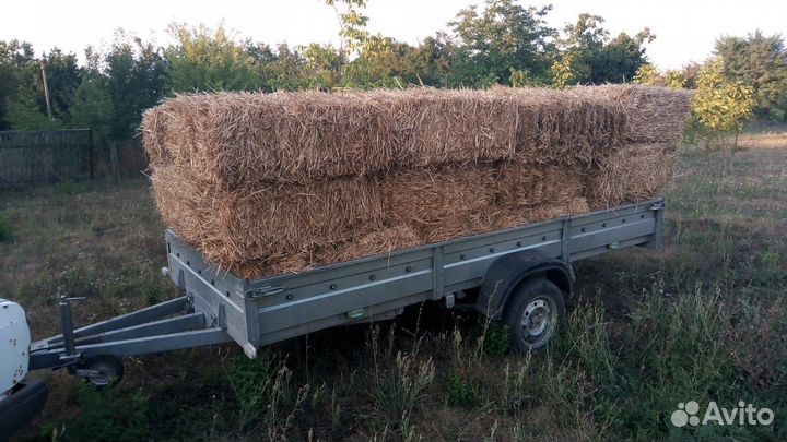 Спил деревьев.вывоз