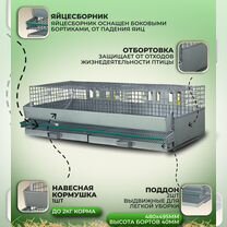 Клетка для перепелов на 50 голов (кп-50), Солнечногорск