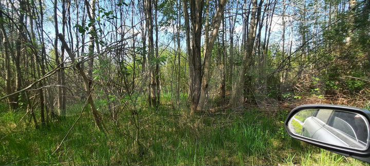 Участок 15 сот. (СНТ, ДНП)