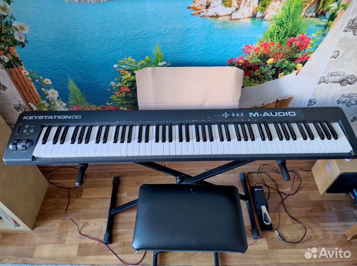M-Audio Keystation 88 II в комплекте с допами