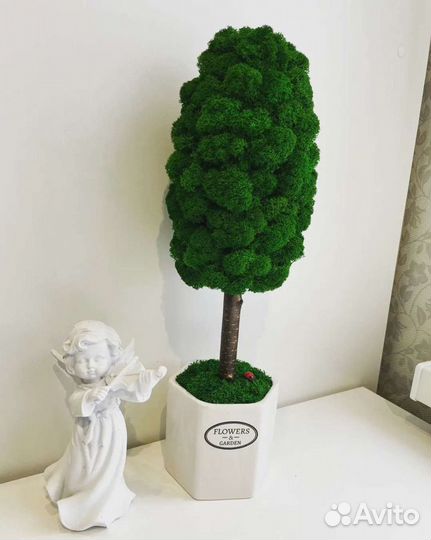 Эко-дерево из стабилизированного мха