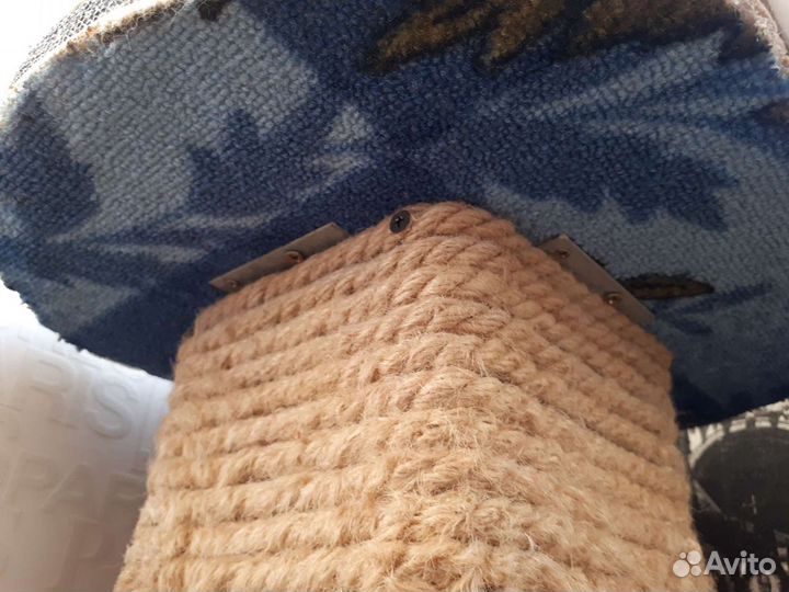 Когтеточка