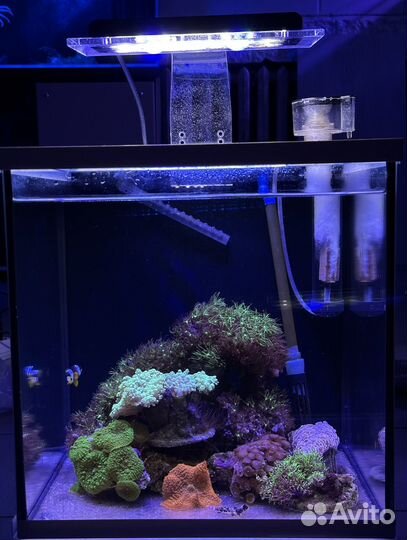 Морской аквариум