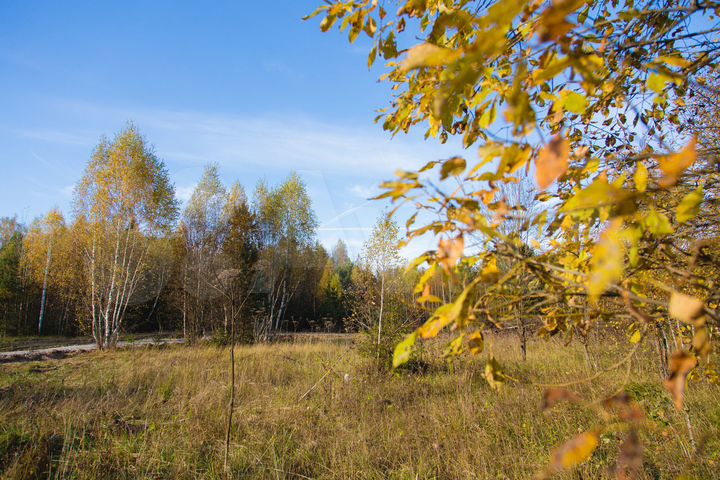 Участок 9,2 сот. (СНТ, ДНП)