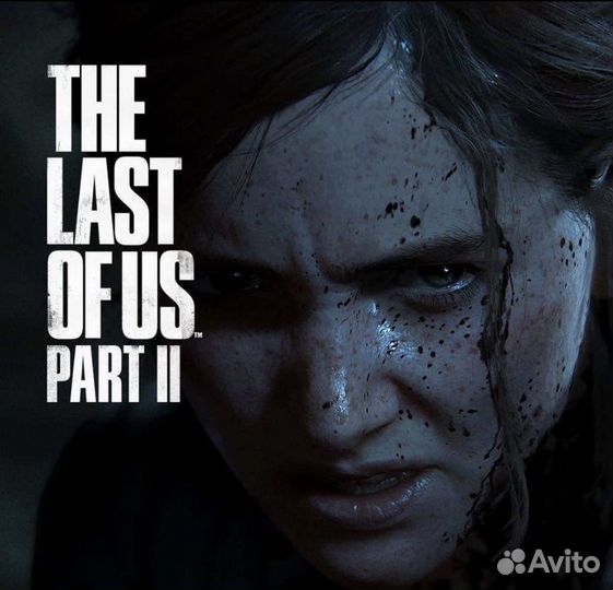 The last of us part 2, PS4/PS5