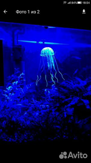 Грот, разное в аквариум. Зеленоград