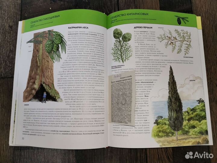 Полная энциклопедия 