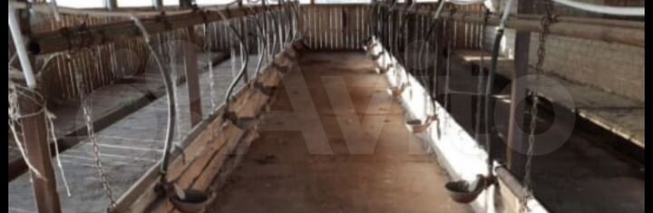 Животноводческая ферма