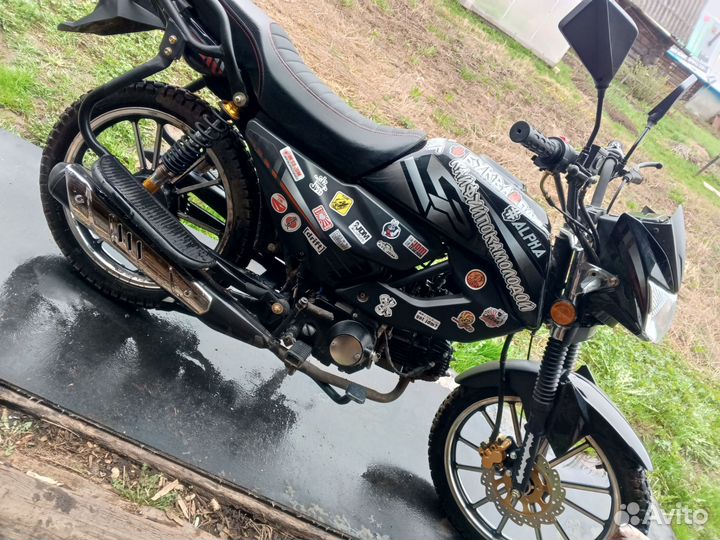 Альфа rs12 champ