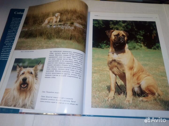 Собаки. Выбор, уход, обучение, породы