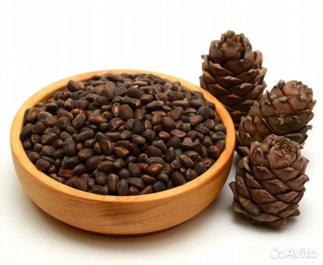 Орех кедровый