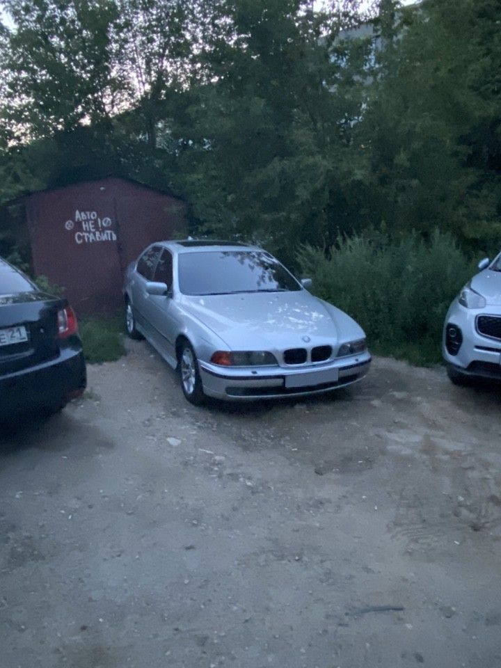 BMW 5 серия: фото владельца