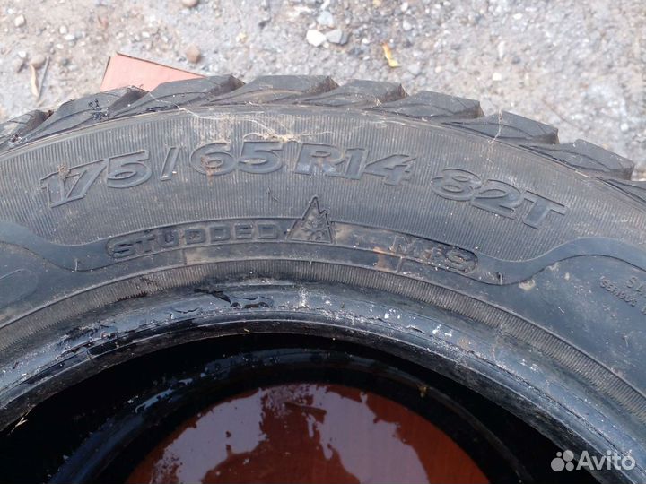 Sava Eskimo Stud 175/65 R14