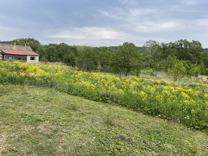 Участок 15,5 сот. (ИЖС)