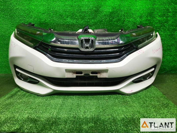 Ноускат honda shuttle