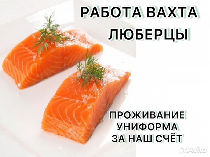 Упаковщик вахта 15/15 еженедельные выплаты