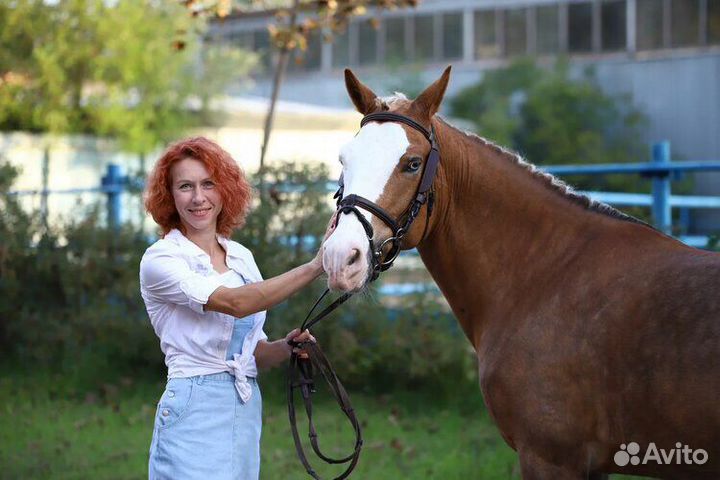 Верховая езда для детей Сокольники