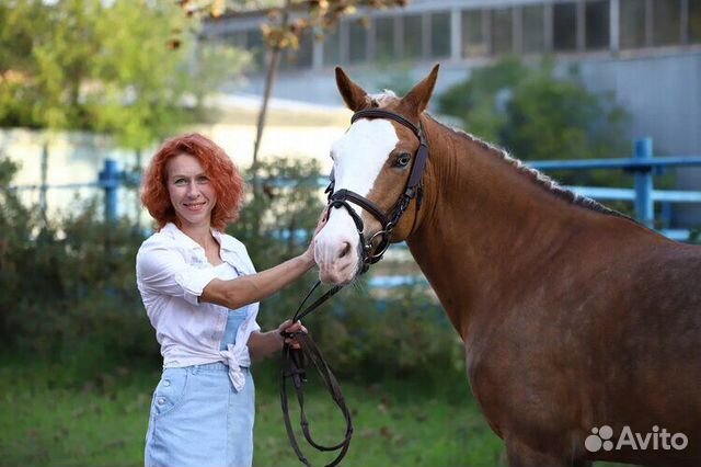 Верховая езда для детей Сокольники