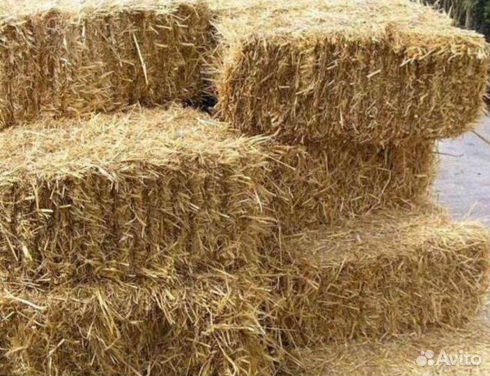 Ржаная солома в тюках