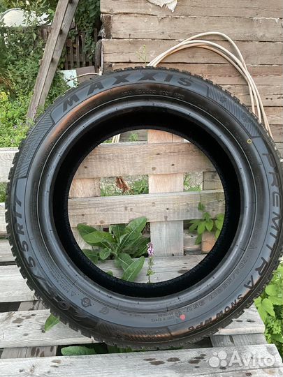 Maxxis Premitra Snow WP6 205/55 R17 95V