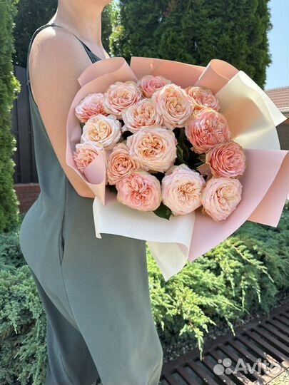 Гипсофила, 101 роза