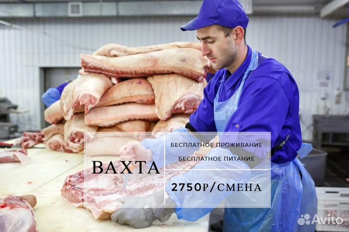Обвальщик/жиловщик мяса. Вахта в Воронежской обл