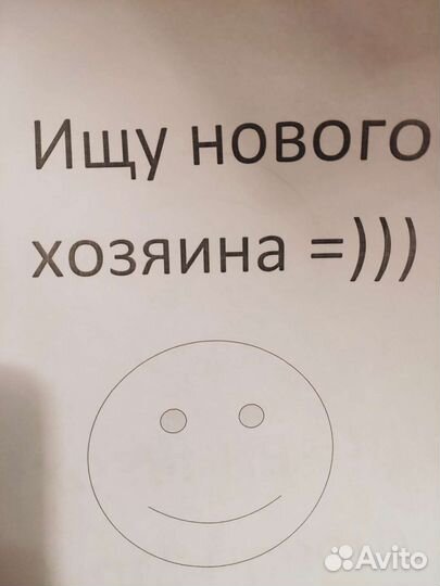 Принтер лазерный canon LBP-810