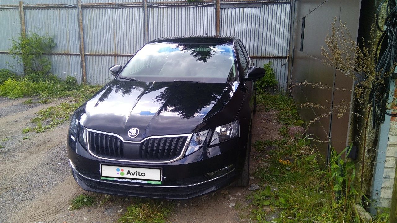 Skoda Octavia: фото владельца