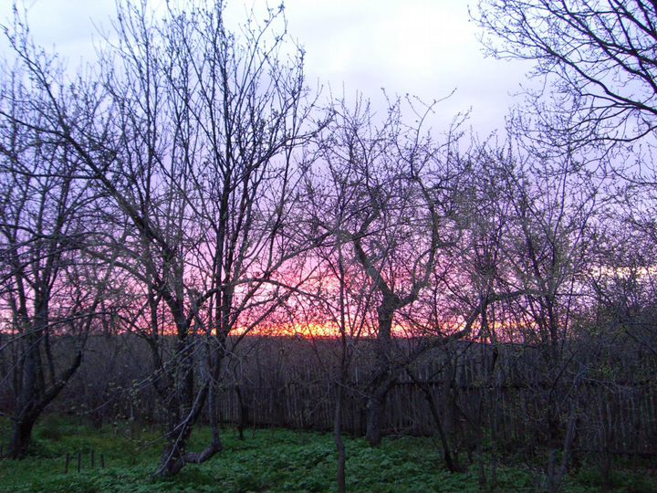 Дом 45 м² на участке 38 сот.