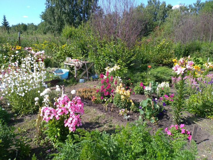 Дача 10 м² на участке 6 сот.