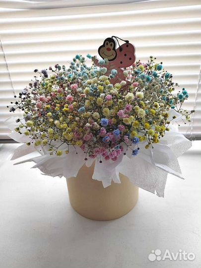 Букет из гипсофилы любого цвета