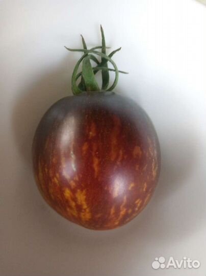 Семена томатов (помидор)