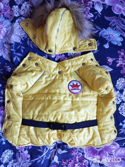 Одежда для собак мелких пород